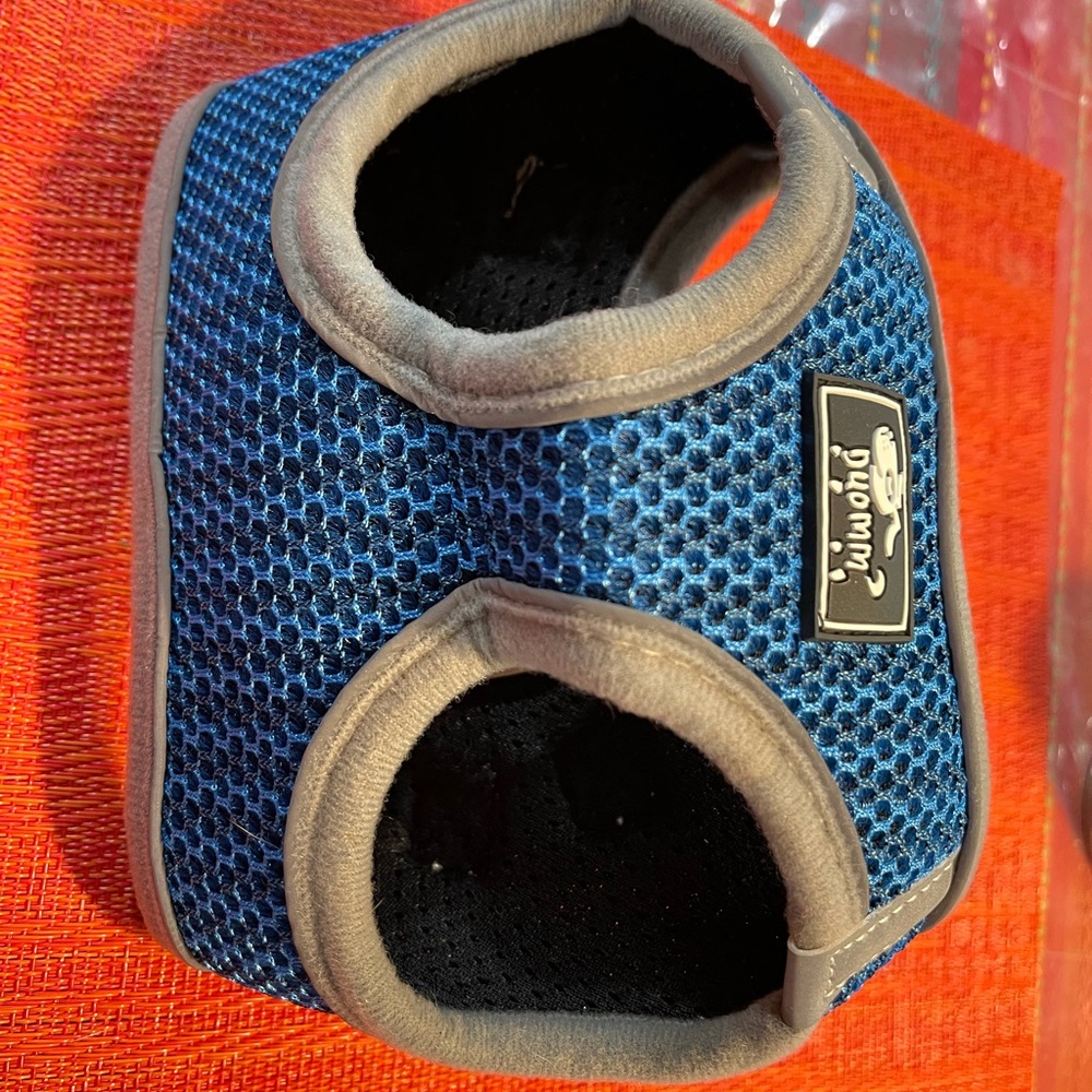 Brand new!!! Harness & Leash